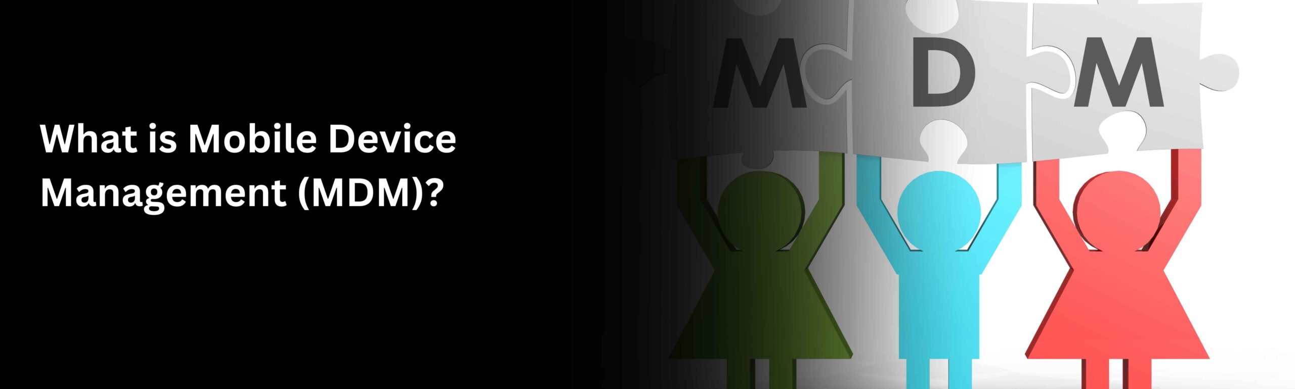 Mobile Device Management (MDM)