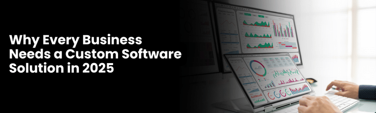 Custom Software Solution in 2025