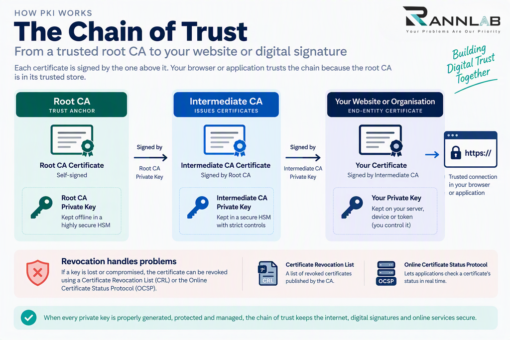 PKI chain of trust from root CA to intermediate CA to website certificate, with CRL and OCSP revocation checks